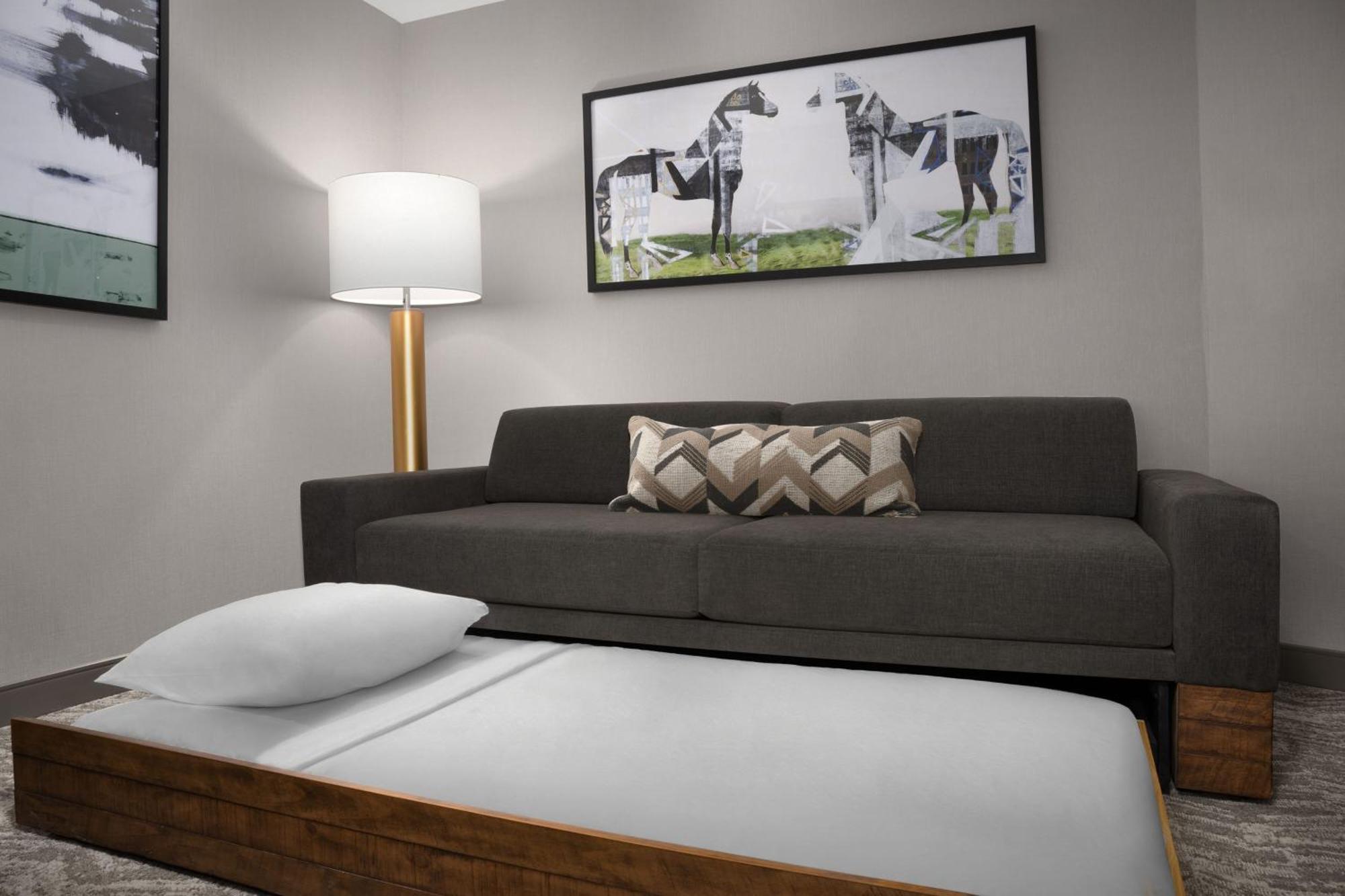 Springhill Suites By Marriott Lexington Fritz Farm Exteriér fotografie